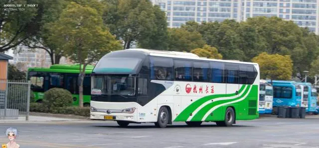浙A 5X073