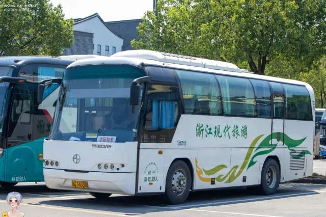 浙A 5N338
