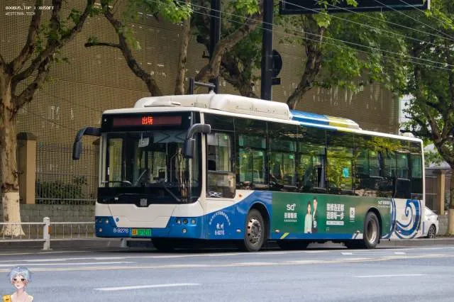 浙A 07521D