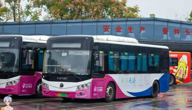 浙E 07885D