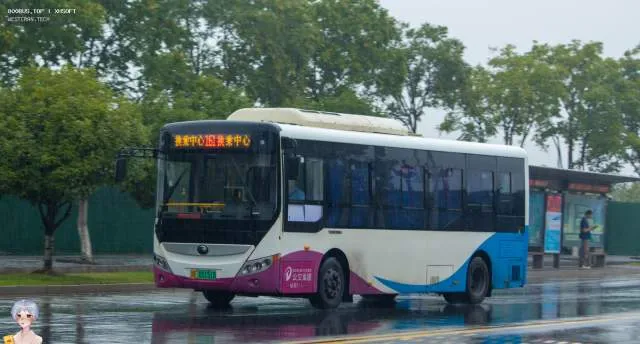 浙E 05151D