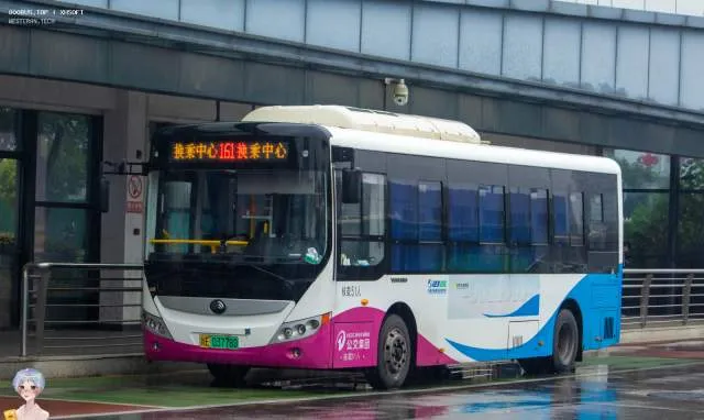 浙E 03778D