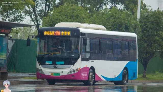 浙E 00175D