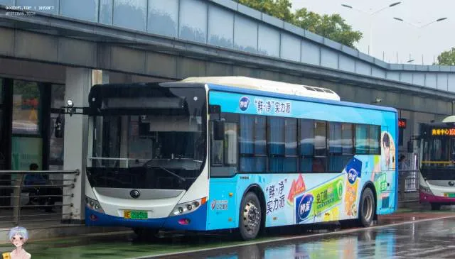 浙E 05859D