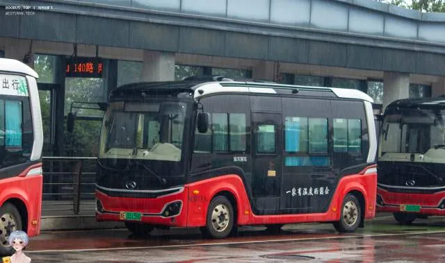 浙E 05159D