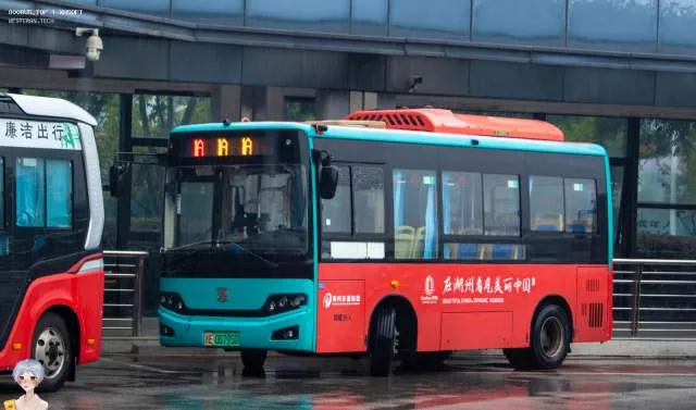 浙E 06795D