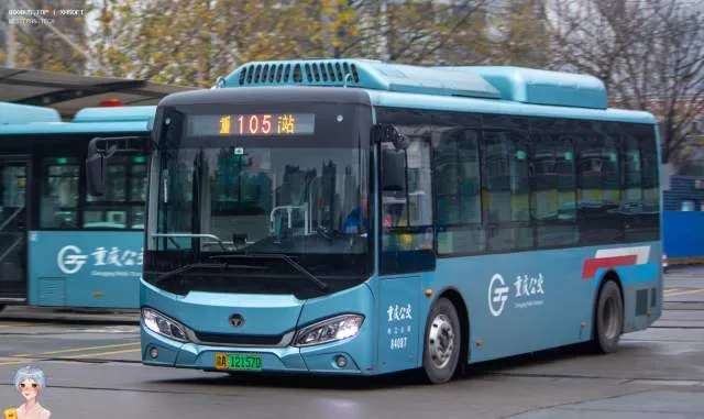 渝A 12157D