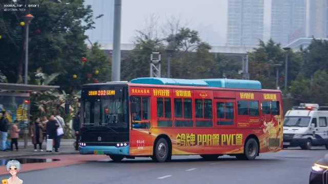 渝A 19501D