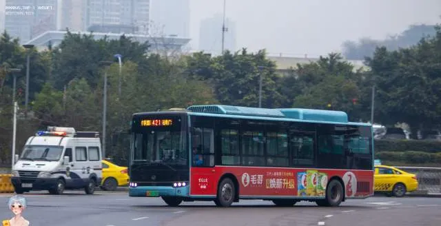渝A 01110D
