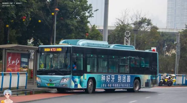 渝A 08367F