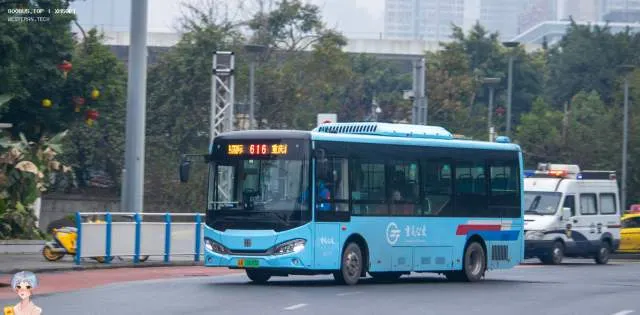 渝A 18693D