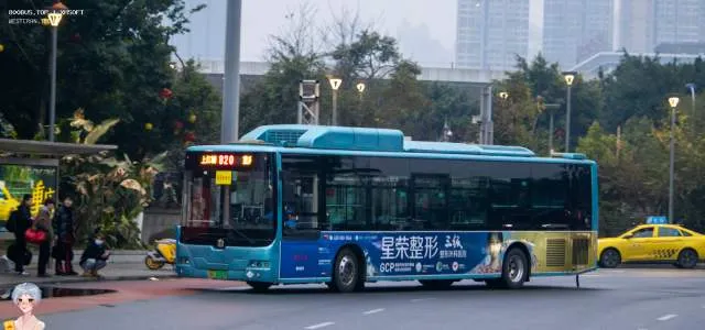 渝A 18203F