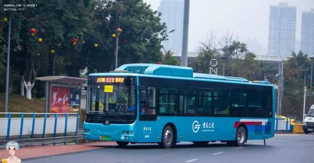渝A 17751F