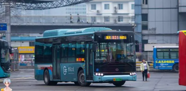 渝A 67778D