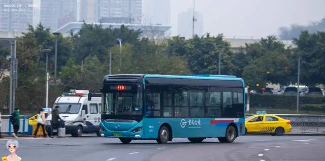 渝A 79351D