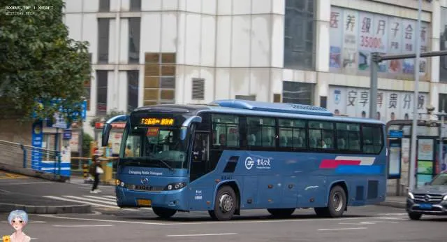 渝D 55840