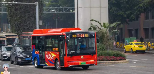 渝A 62222D