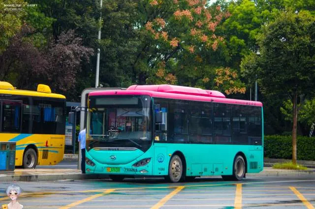 苏E 07673D