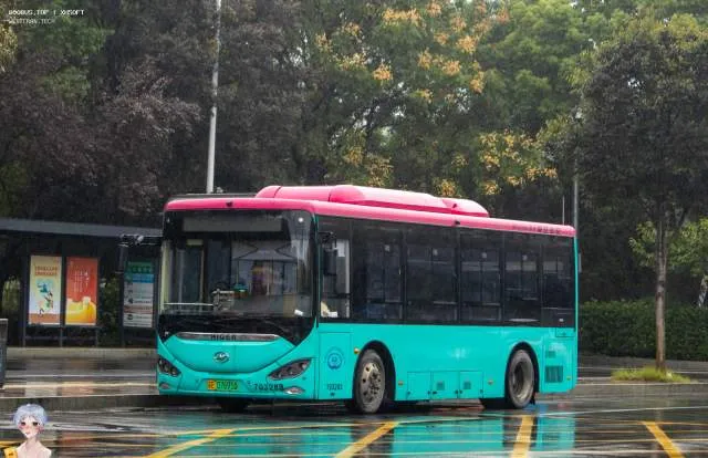 苏E 07695D