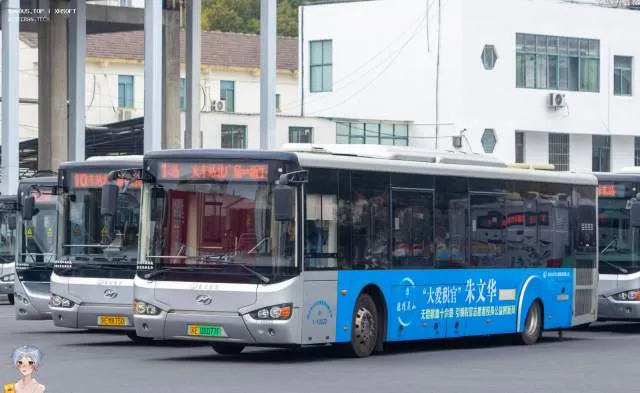 苏E 08077F