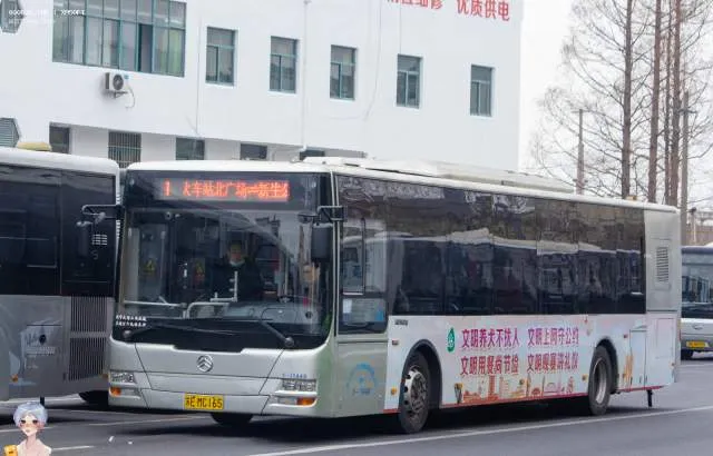 苏E MC165