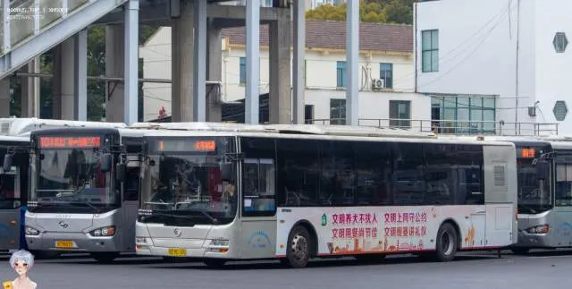 苏E MC165