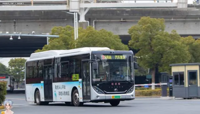 苏E 00616D