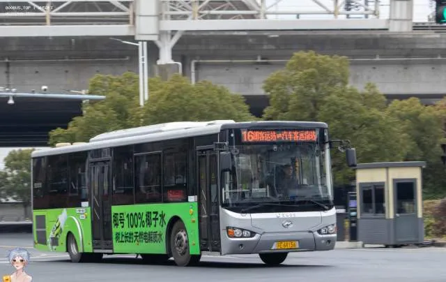 苏E 6R156