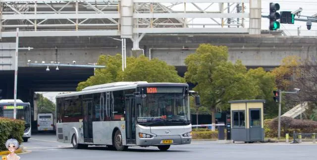 苏E MF081