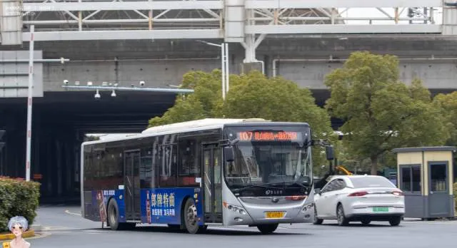 苏E 6V031