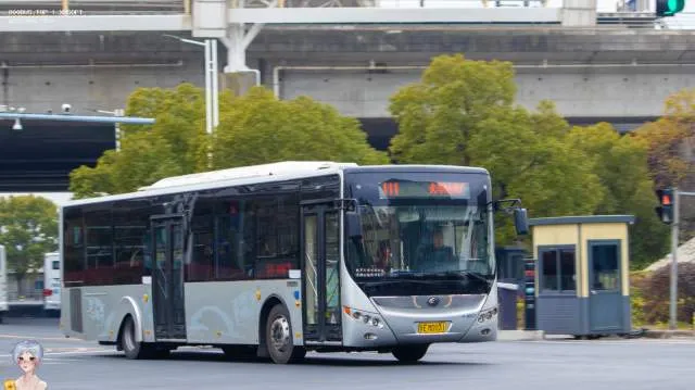 苏E MD031