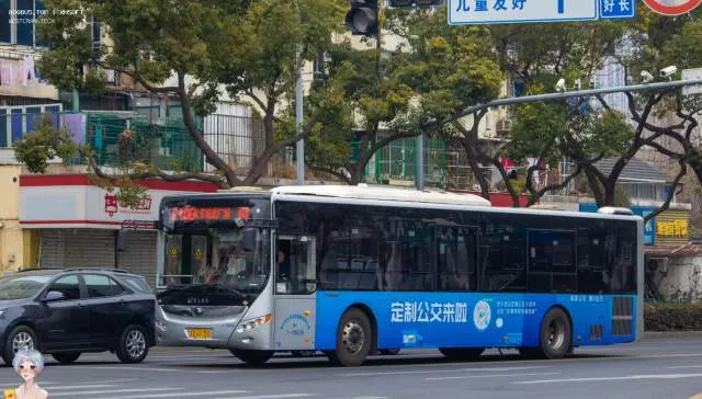 苏E 6V103