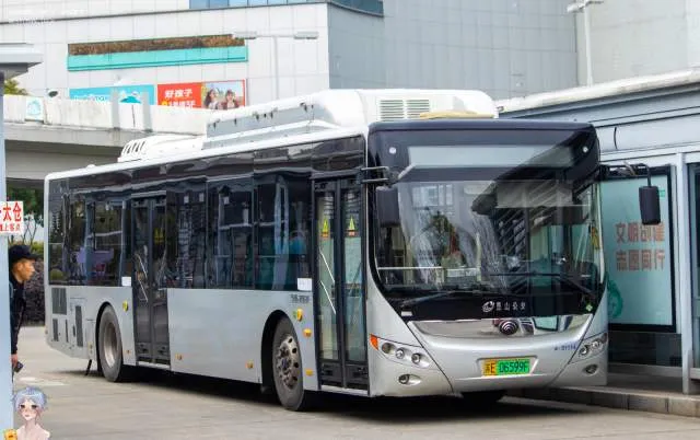 苏E 06599F