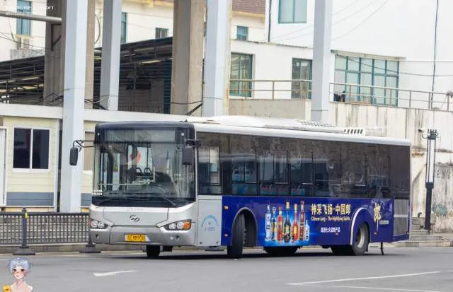 苏E MM978