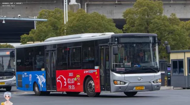 苏E 6K597