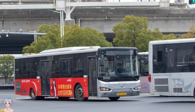 苏E 6K590