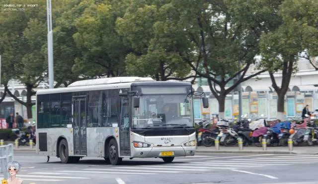 苏E MC515