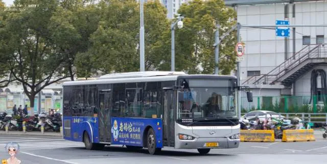 苏E 6R359