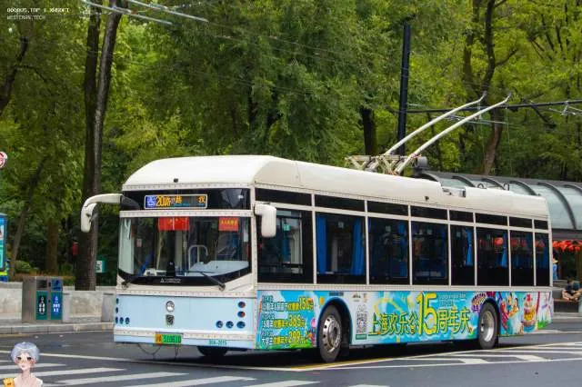沪A 51061D