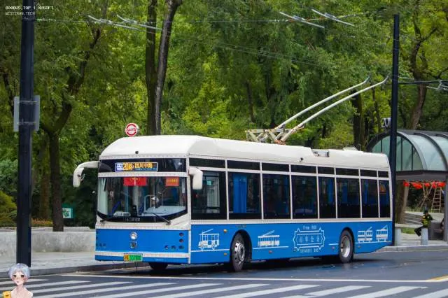 沪A 55780D