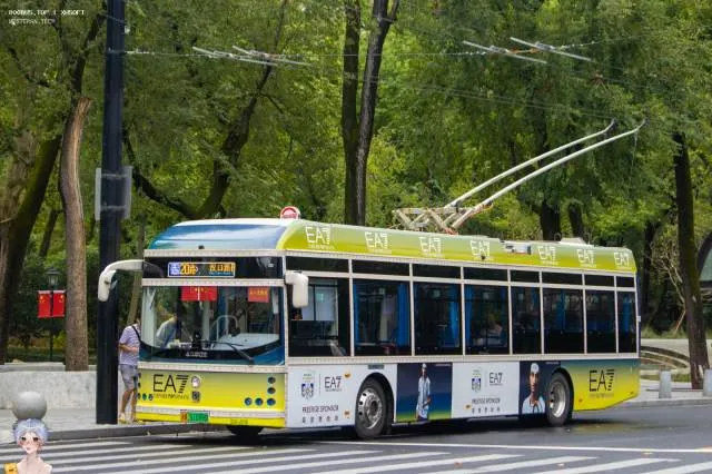 沪A 51099D