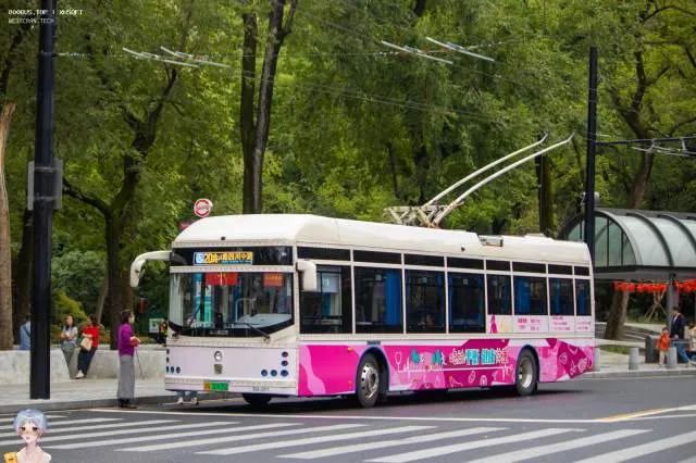 沪A 50936D