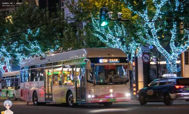 沪A 57239D