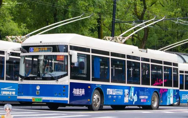 沪A 51787D