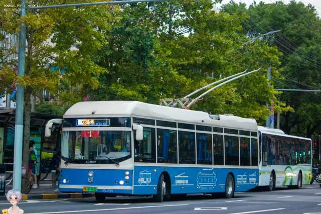 沪A 04742D