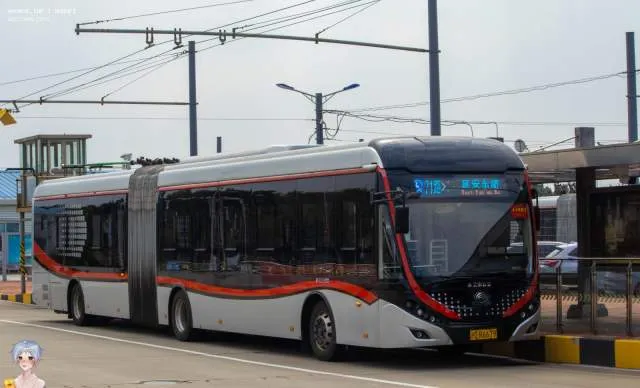 沪D R6679