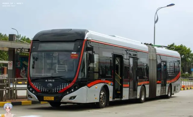 沪D R2311
