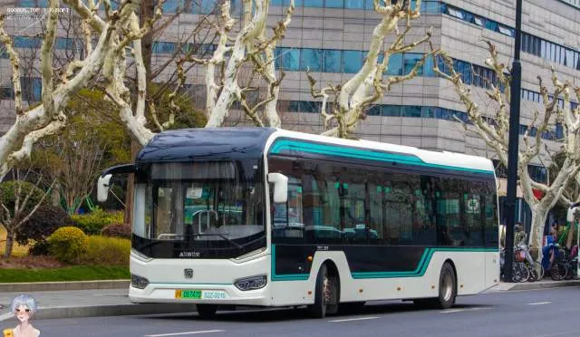 沪A 06747D