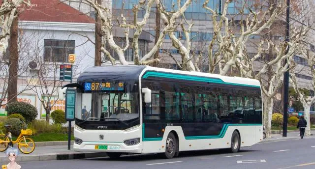 沪A 04349D