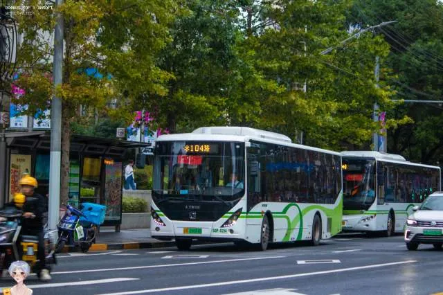 沪A 09684D